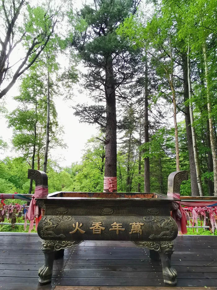 【夢想聚團隊 團隊創(chuàng)輝煌】西微雅團建活動——長白山之旅(圖4) 【夢想聚團隊 團隊創(chuàng)輝煌】西微雅團建活動——長白山之旅(圖4)