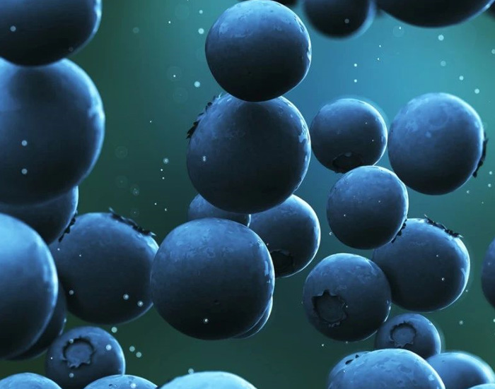 藍(lán)莓到藍(lán)莓干其營養(yǎng)價(jià)值有變化嗎(圖2) 藍(lán)莓到藍(lán)莓干其營養(yǎng)價(jià)值有變化嗎(圖2)